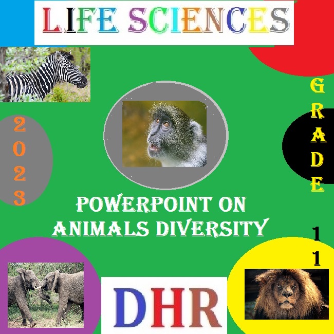 GRADE 11 LIFE SCIENCES POWERPOINT ON BIODIVERSITY OF ANIMALS (2023) •  Teacha!