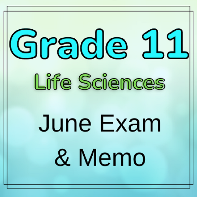 grade 11 life science assignment june 2021