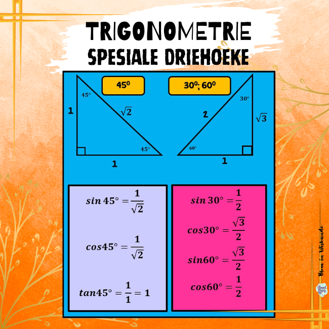 506 TRIGONOMETRIE Spesiale Driehoeke plakkaat Teacha
