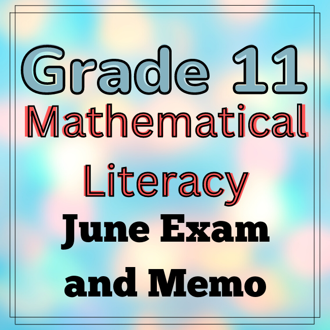 7770 Grade 11 Math Literacy June Teacha