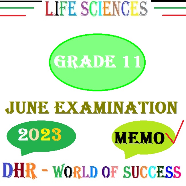 life sciences grade 11 assignment memo term 2