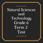 37998 Natuurwetenskap en Tegnologie Graad 6 Kwartaal 2 Toets 1 Teacha