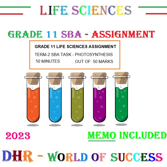 life science grade 11 assignment term 2 photosynthesis