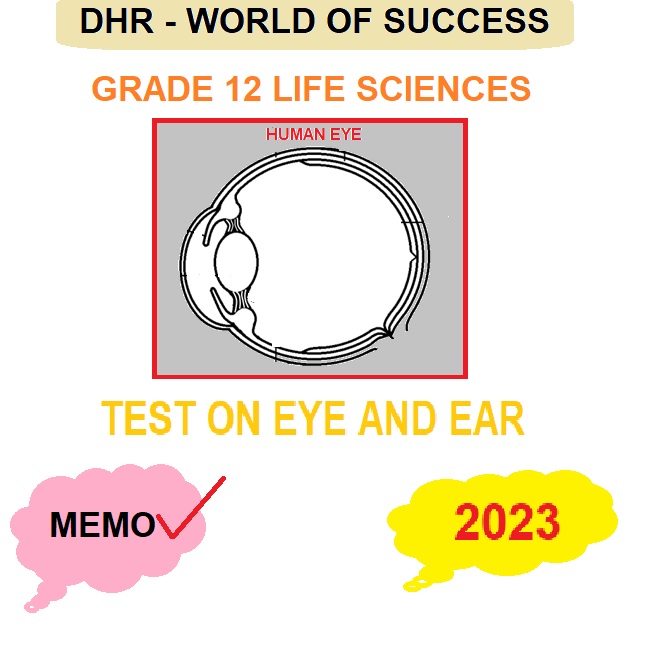 33605 EYE AND EAR TEST 2023 Teacha