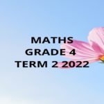 7167 MATHS GR 4 TERM 2 2022 Teacha