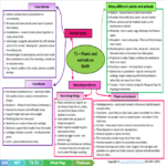 7770 2 grade 5 natural sciences and technology plants and animals on earth mind map platinum term 1 Teacha