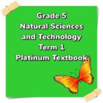 7770 Grade 5 NST T1 Platinum Copy Teacha