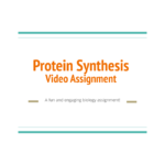 83181 Protein Synthesis Video Assignment Cover 3 Teacha