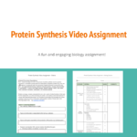 83181 Protein Synthesis Video Assignment Preview Teacha