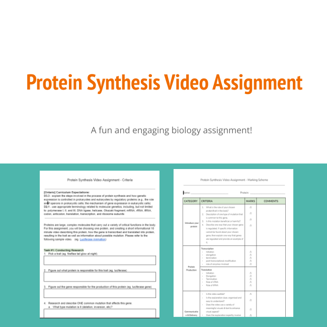 83181 Protein Synthesis Video Assignment Preview Teacha