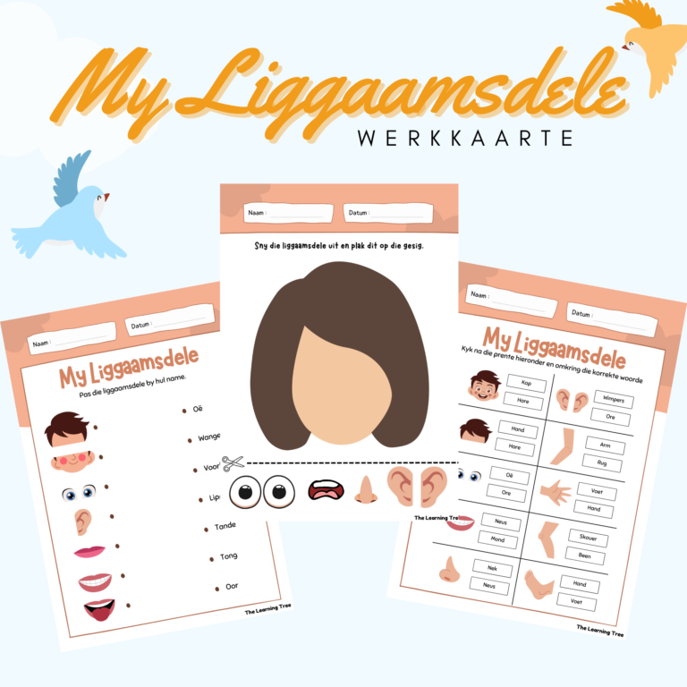 82122-My Liggaamsdele Werkkaarte Cover Image