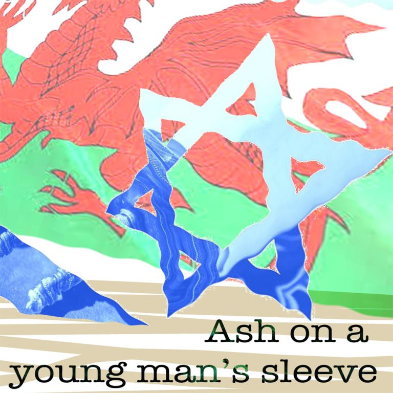 86120-Ash on a Young Mans Sleeve cover