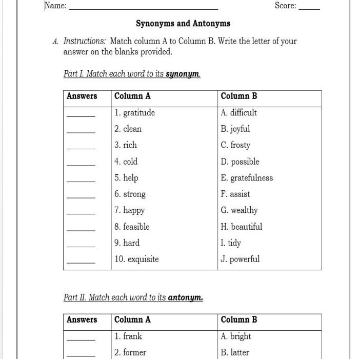 Synonyms and Antonyms (Grade 6, Zambian Curriculum)