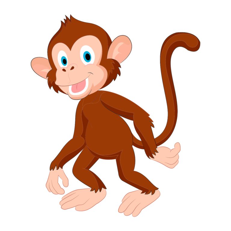 26717-monkey