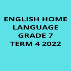 grade 7 maths assignment term 1 2020