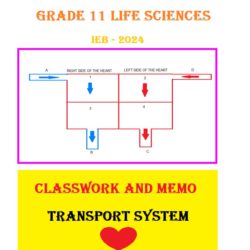 life science assignment grade 12 term 3