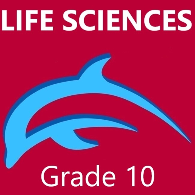 13870-Term 2 Life Sciences Gr 10