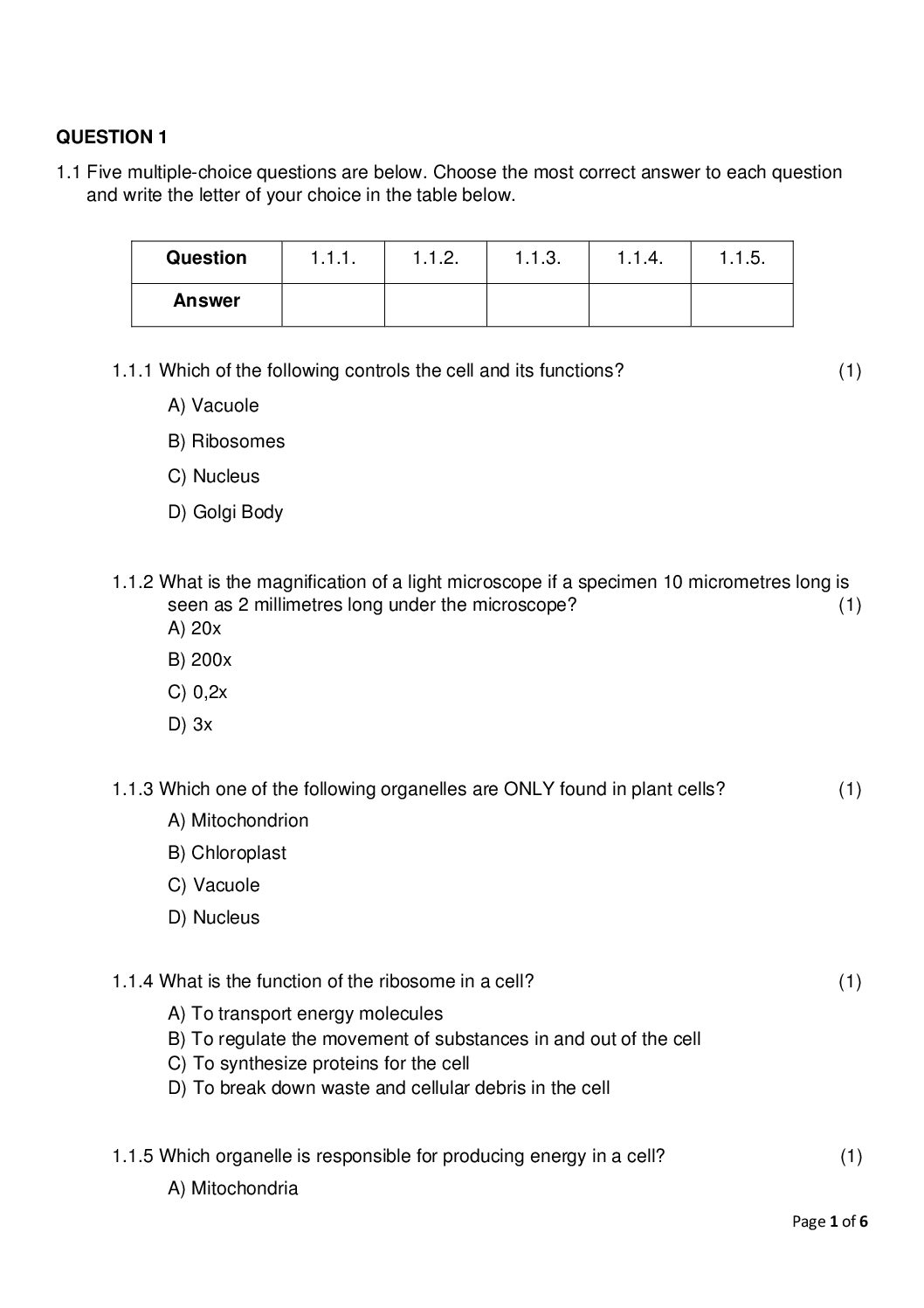 grade 6 term 4 paper